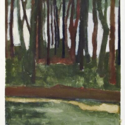 Light Through Trees